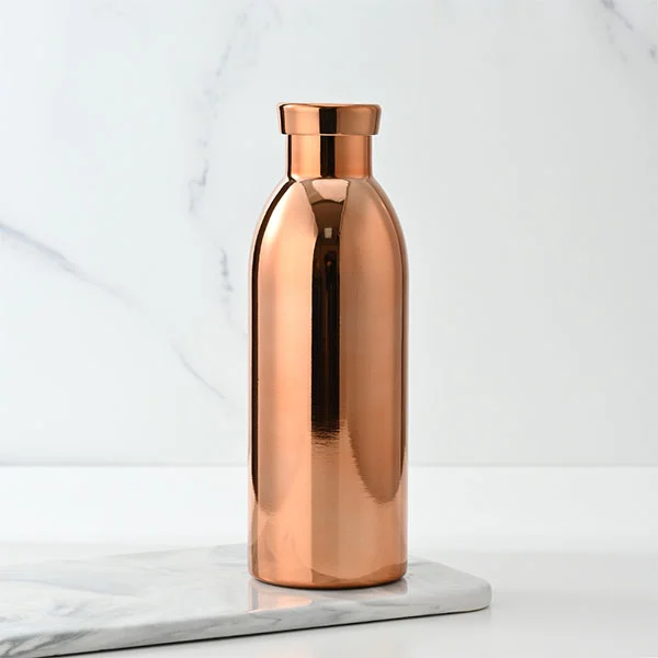 Flacon isolé sous vide en acier inoxydable de 500 ml