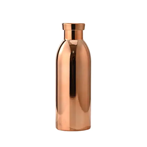 Flacon isolé sous vide en acier inoxydable de 500 ml